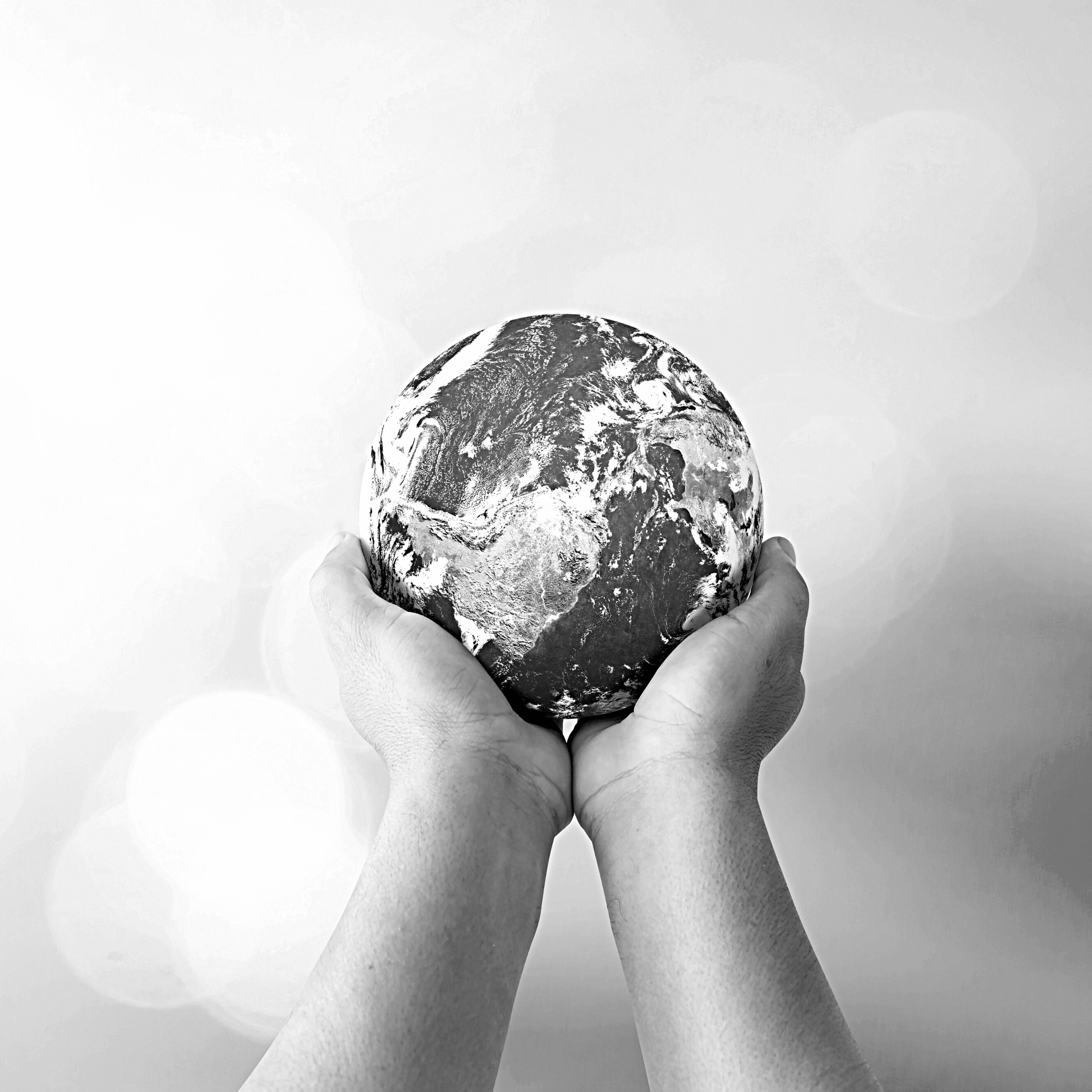 picture of a globe held in two hands
